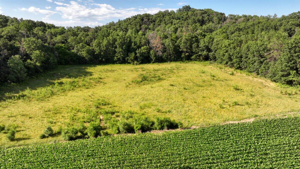 0 Hammer Road Sparta, WI 54656 - Photo 28 of 52 28-DJI_0772_28