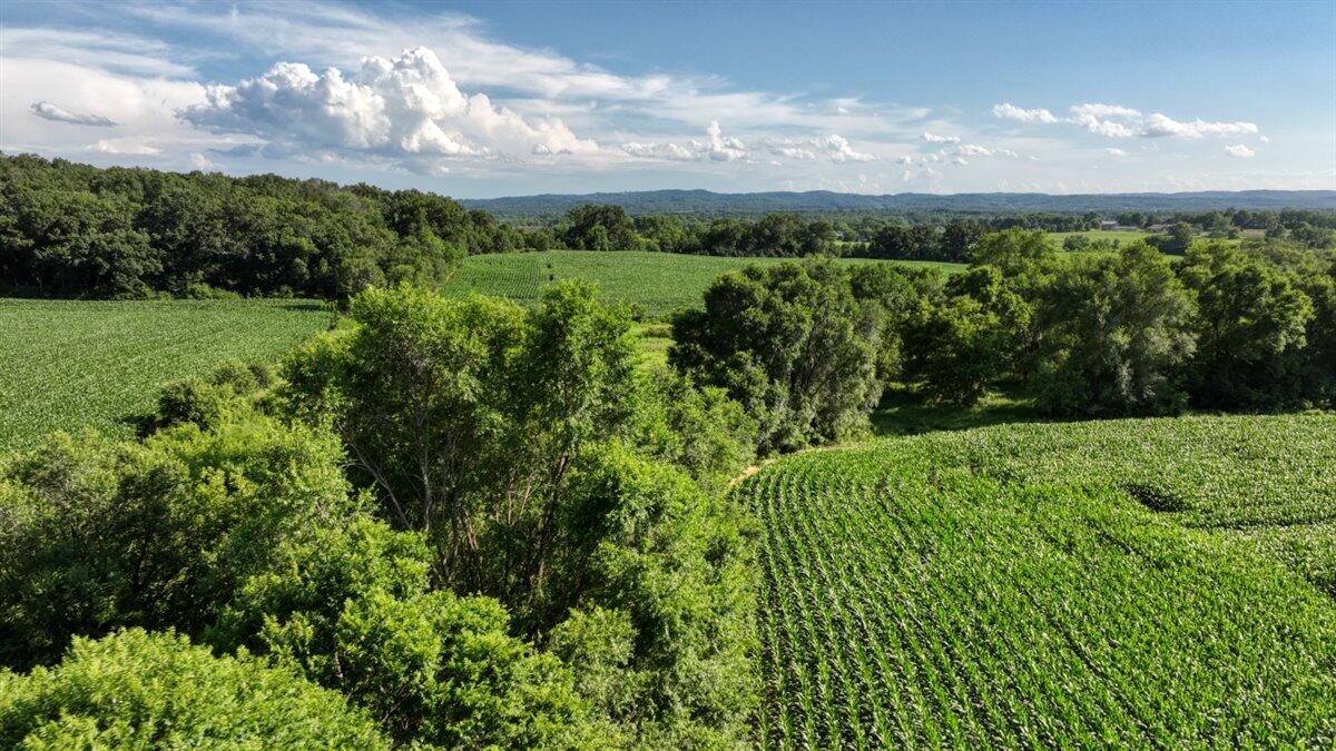 0 Hammer Road Sparta, WI 54656 - Photo 42 of 52 42-DJI_0847_42