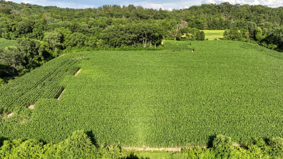 0 Hammer Road Sparta, WI 54656 - Photo 43 of 52 43-DJI_0856_43