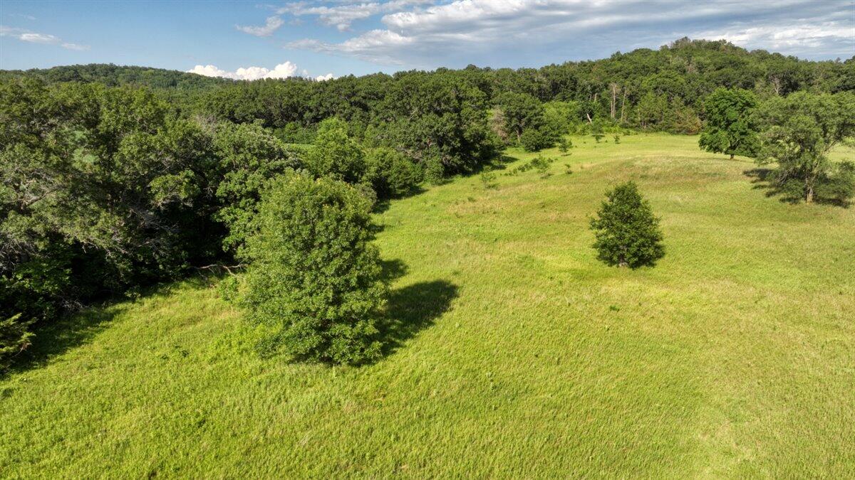 0 Hammer Road Sparta, WI 54656 - Photo 45 of 52 45-DJI_0865_45
