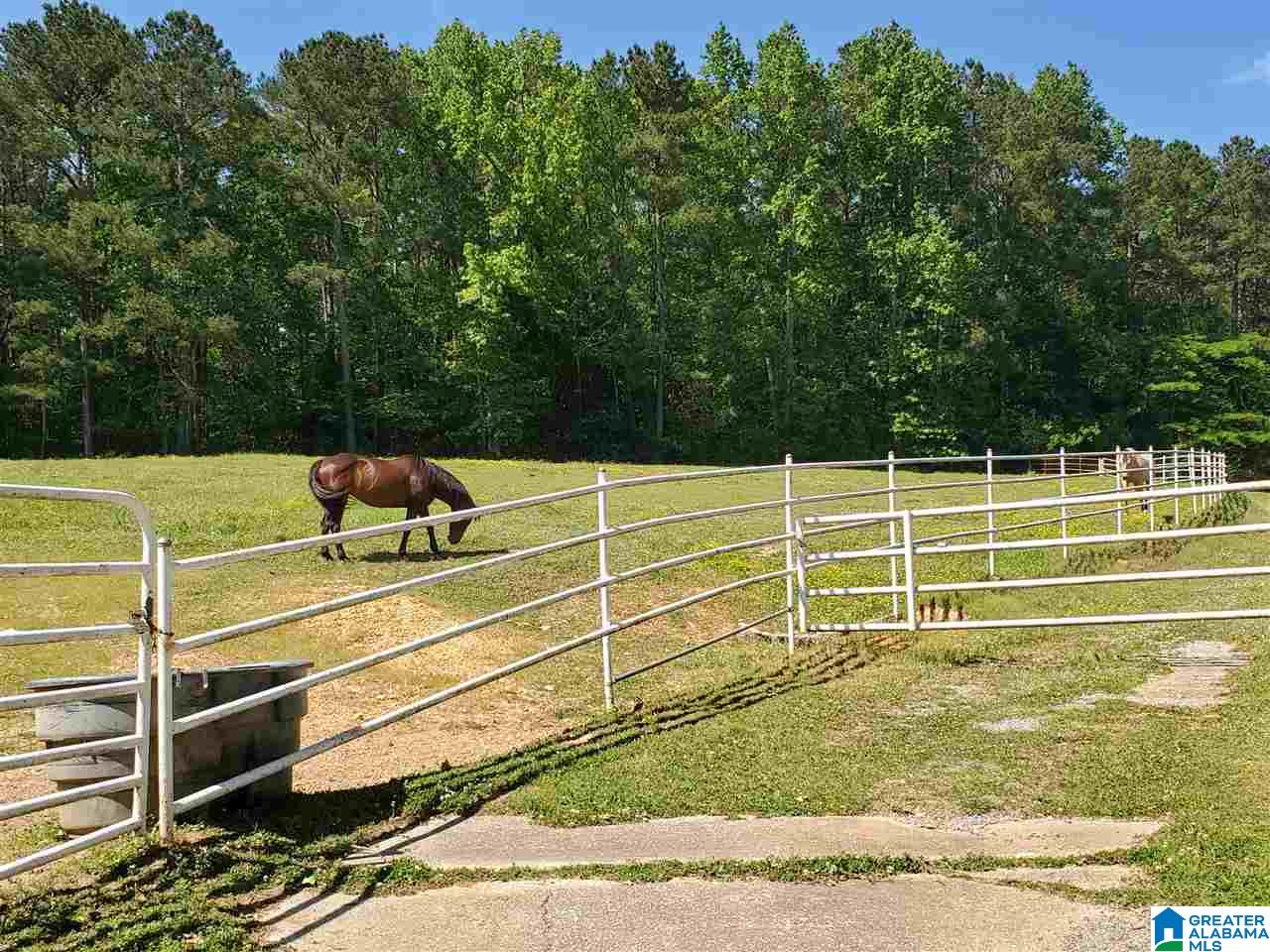 7023 Self Road Pinson, AL 35126 - Photo 33 of 36