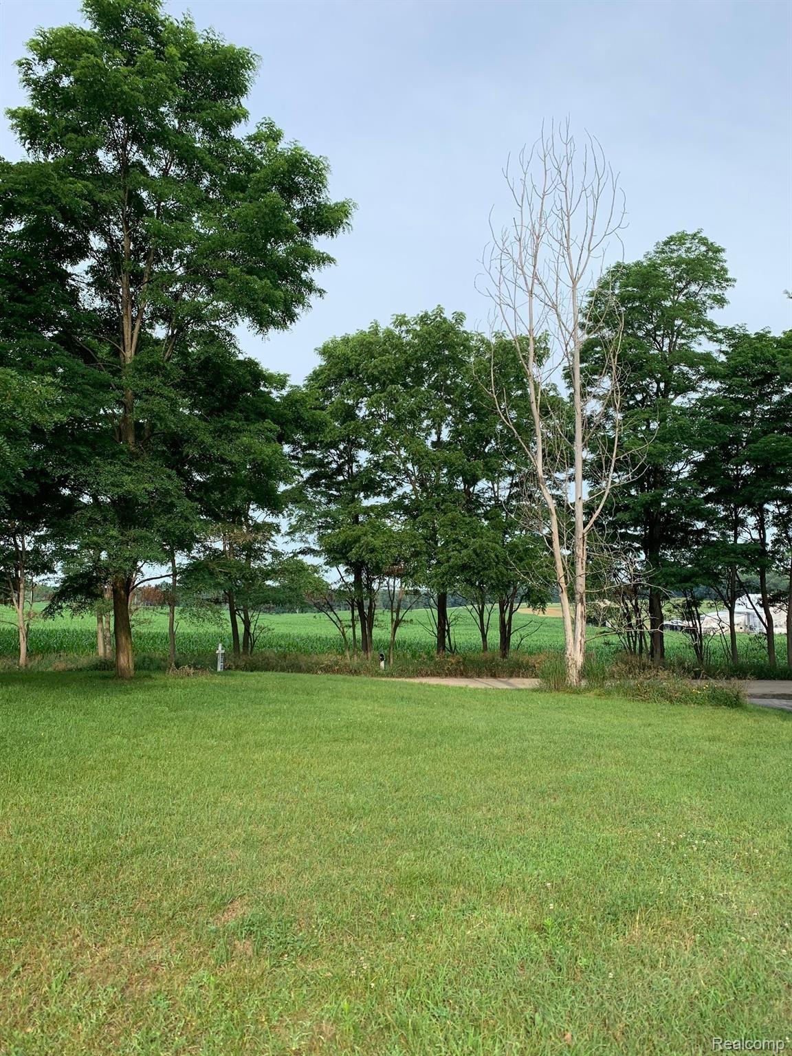 3200 McKinley Road Chelsea, MI 48118 - Photo 20 of 20 yard & view.jpg