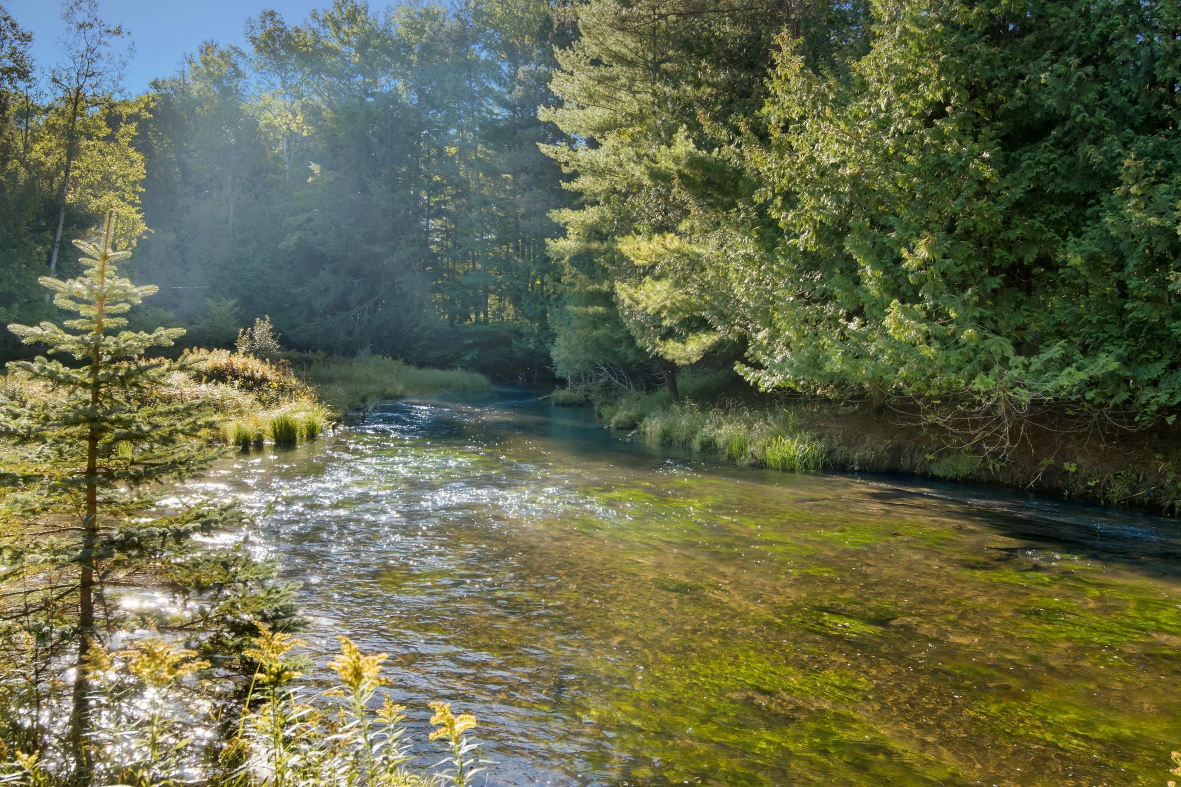 15172 Clark's Mill Road Interlochen, MI 49643 - Photo 50 of 69 1950615-d51b1d92-c63f-48f0-909b-be8ece6a5d6f.JPG
