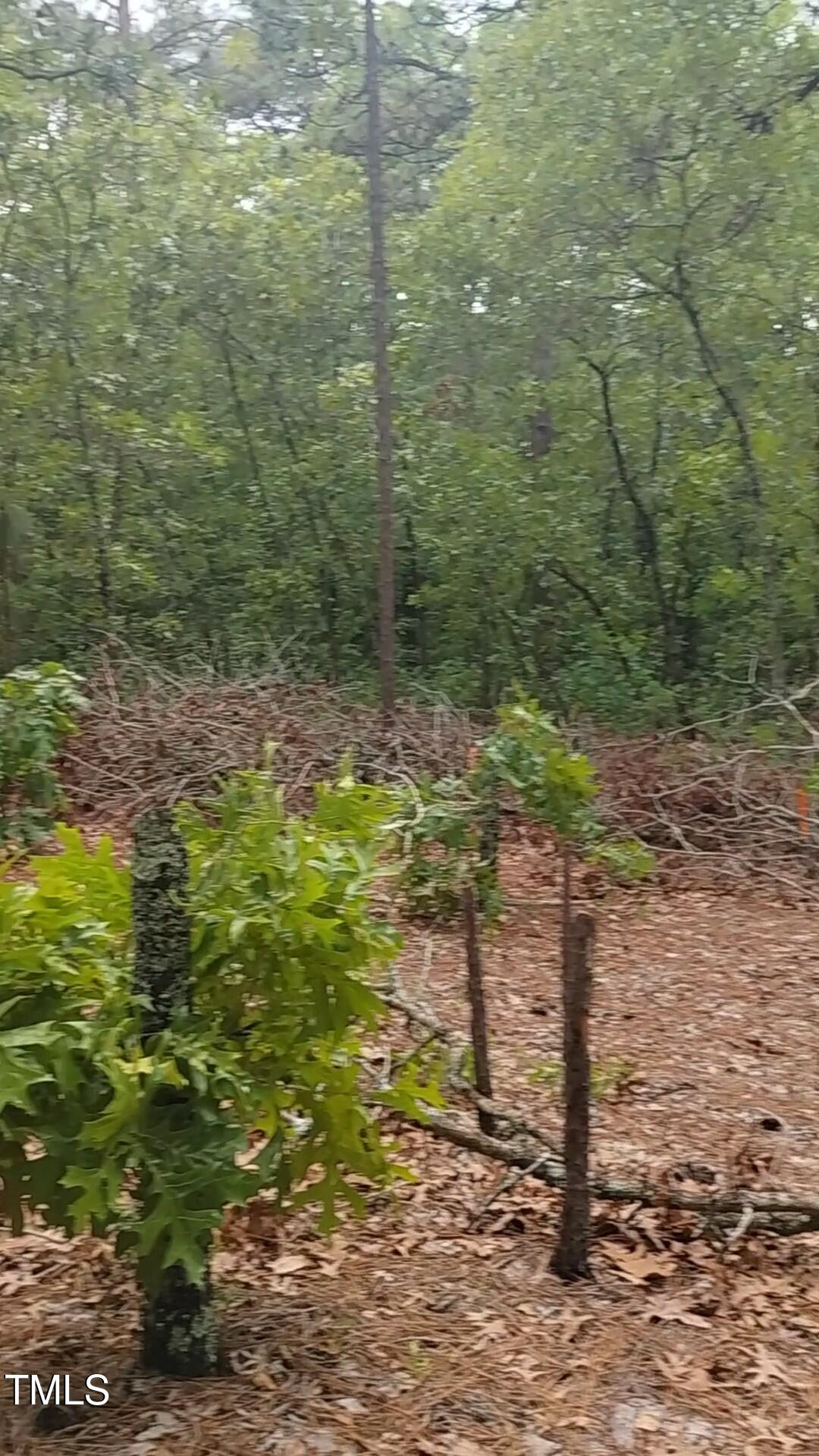 0 Mayer Road Cameron, NC 28326 - Photo 21 of 32 NIcole 0 Mayer - 5