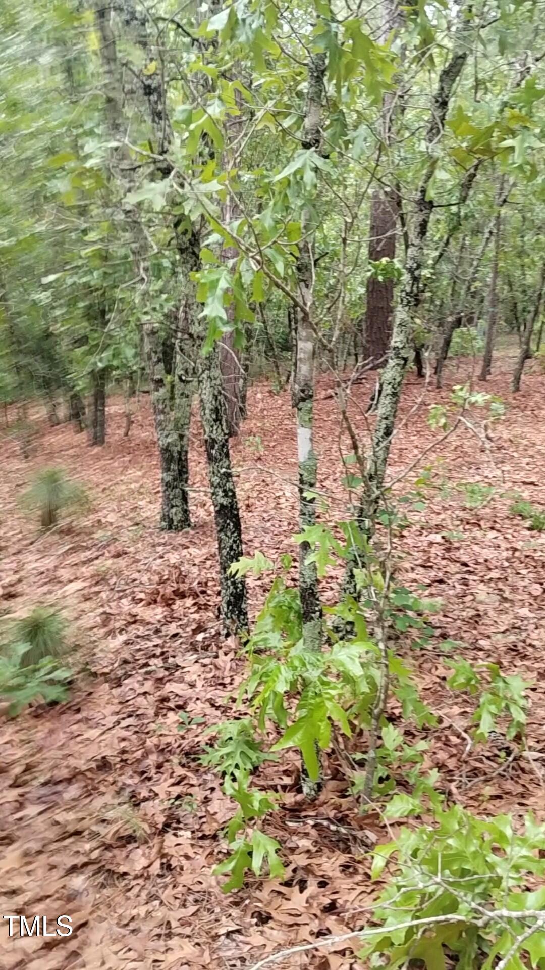 0 Mayer Road Cameron, NC 28326 - Photo 22 of 32 Nicole 0 Mayer - 6