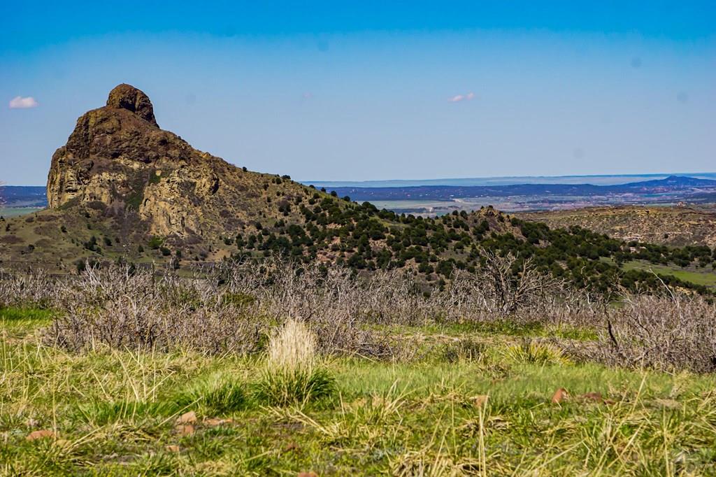 Tbd Tbd Rilling Canyon Road La Veta, CO 81055 - Photo 16 of 33