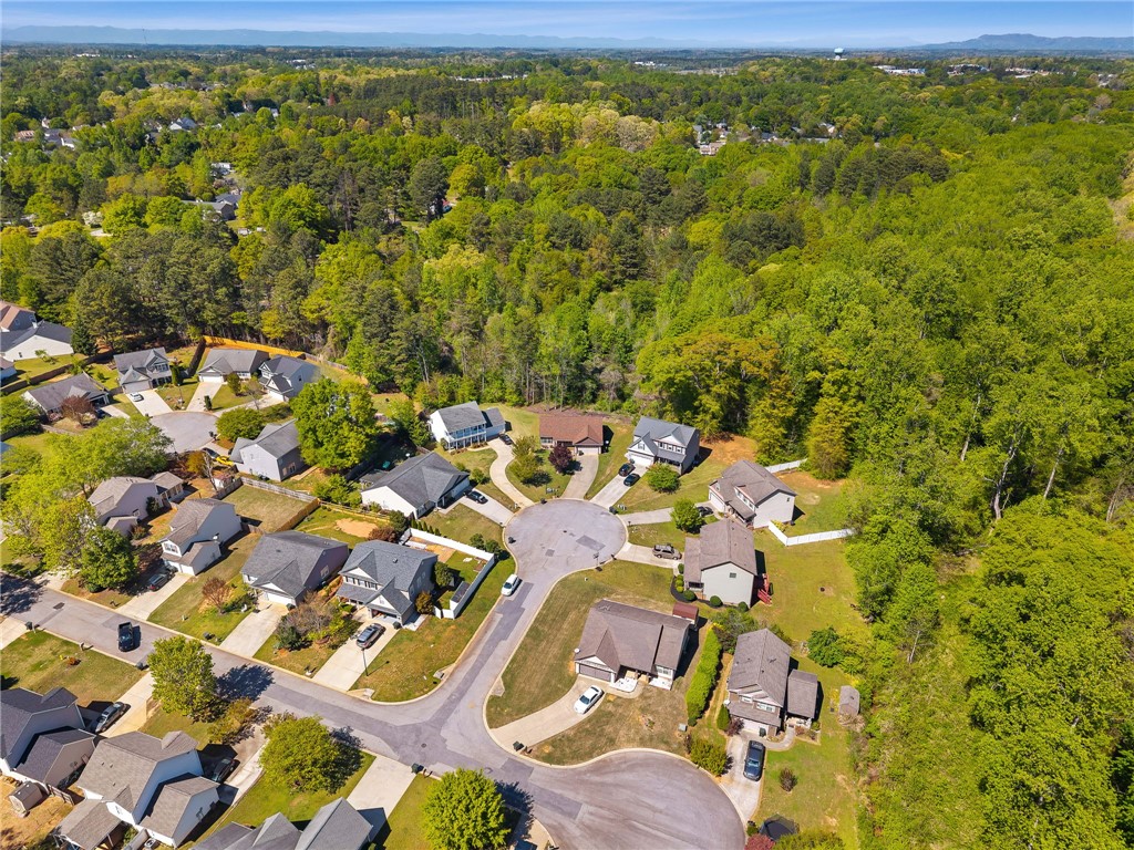 113 Crofton Court Easley, SC 29642 - Photo 30 of 33 This residential area is nestled amidst lush greenery, offering a serene community atmosphere.