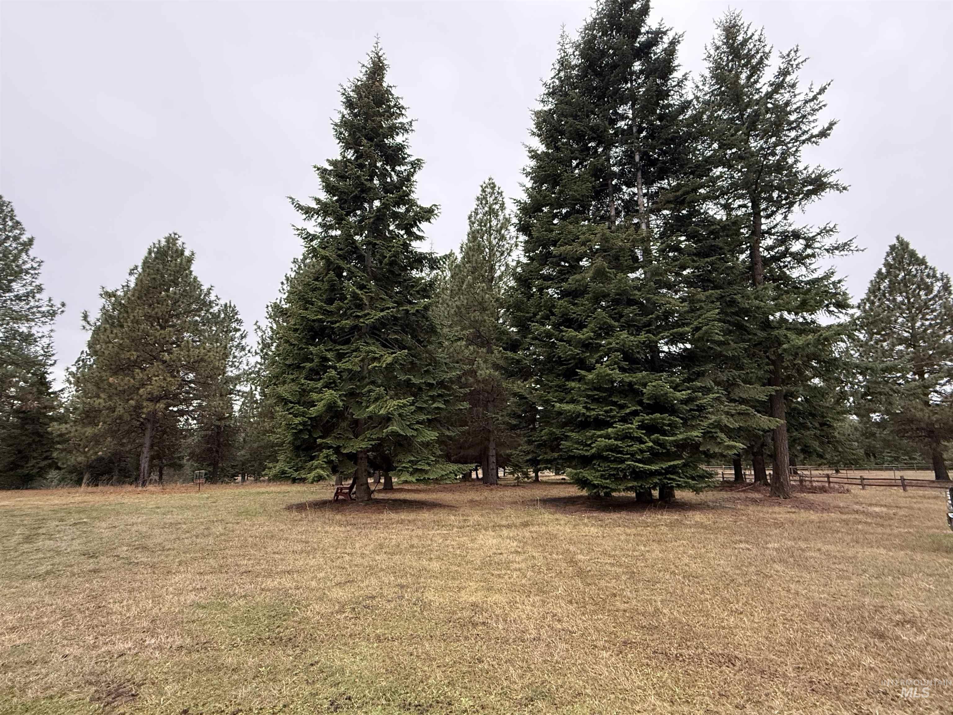 1653 Kidder Ridge Road Kamiah, ID 83536 - Photo 34 of 47 View of grassy yard
