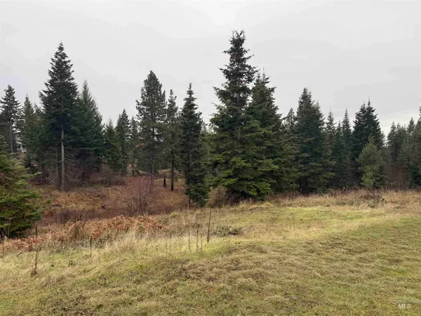 $710,000 | 1653 Kidder Ridge Road, Kamiah, ID 83536