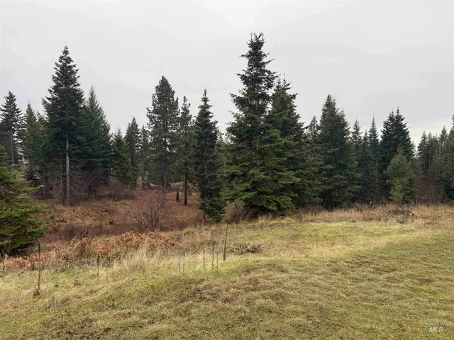 $725,000 | 1653 Kidder Ridge Road, Kamiah, ID 83536