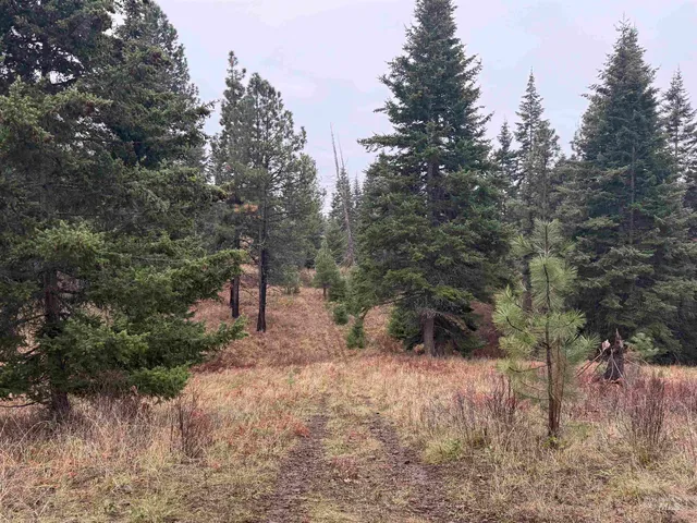 $725,000 | 1653 Kidder Ridge Road, Kamiah, ID 83536