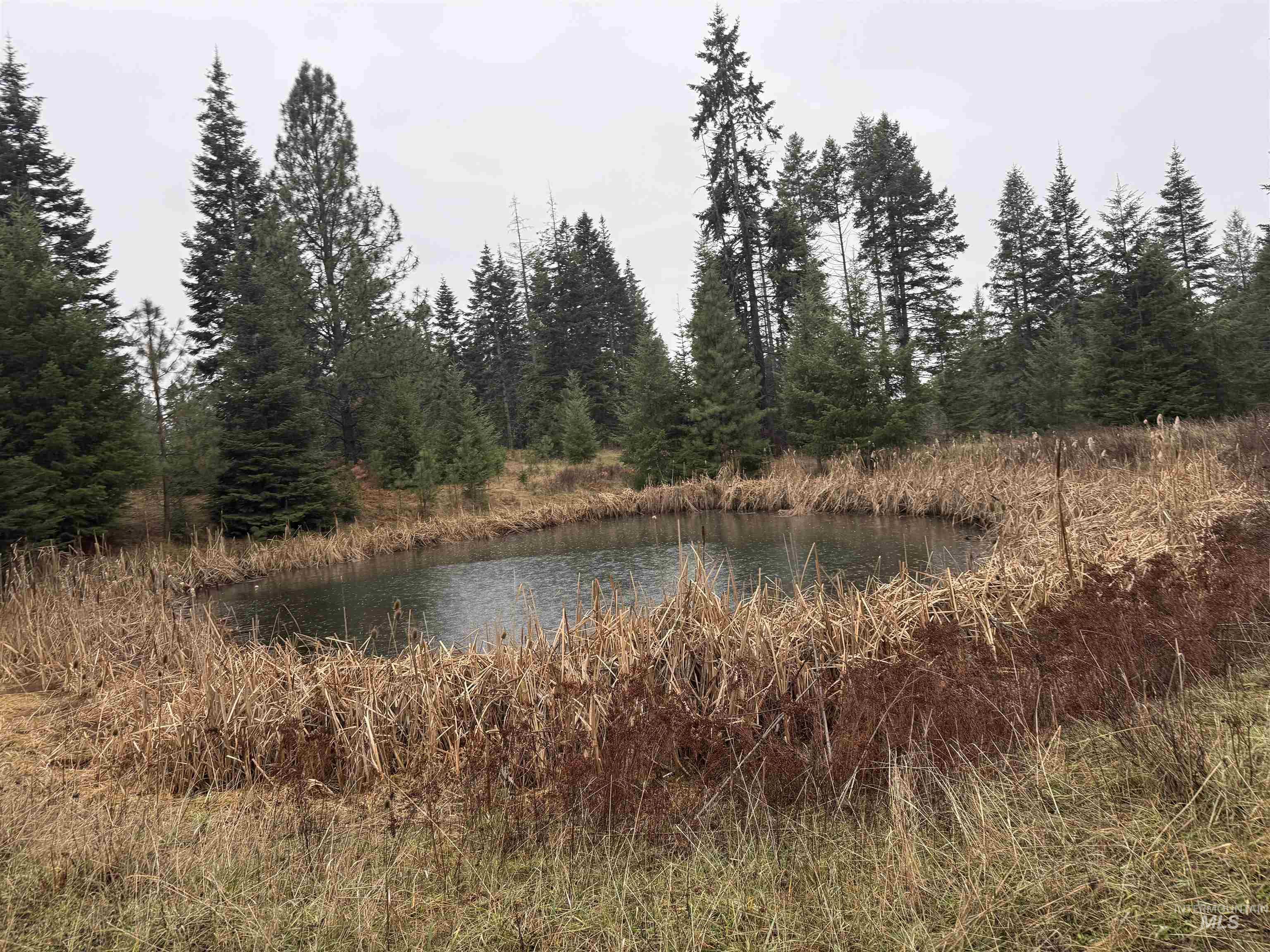 1653 Kidder Ridge Road Kamiah, ID 83536 - Photo 41 of 47 Water view with a forest