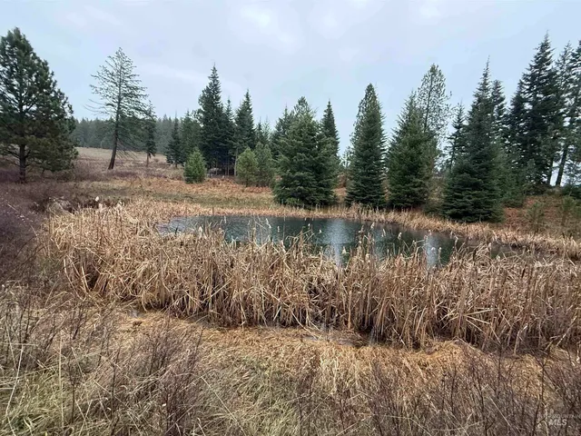 $725,000 | 1653 Kidder Ridge Road, Kamiah, ID 83536
