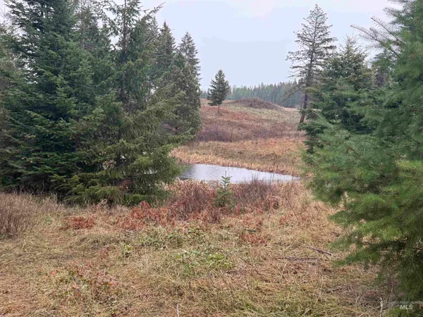 $710,000 | 1653 Kidder Ridge Road, Kamiah, ID 83536