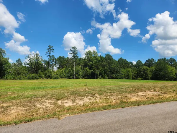 $50,000 | 20035 Dews Court, Troup, TX 75789