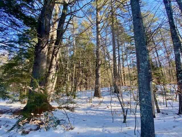 21 Kennard Hill Road Porter, ME 04068 - Photo 5 of 7 IMG_4591