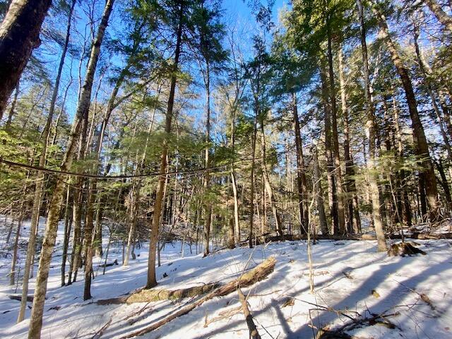 21 Kennard Hill Road Porter, ME 04068 - Photo 6 of 7 IMG_4592