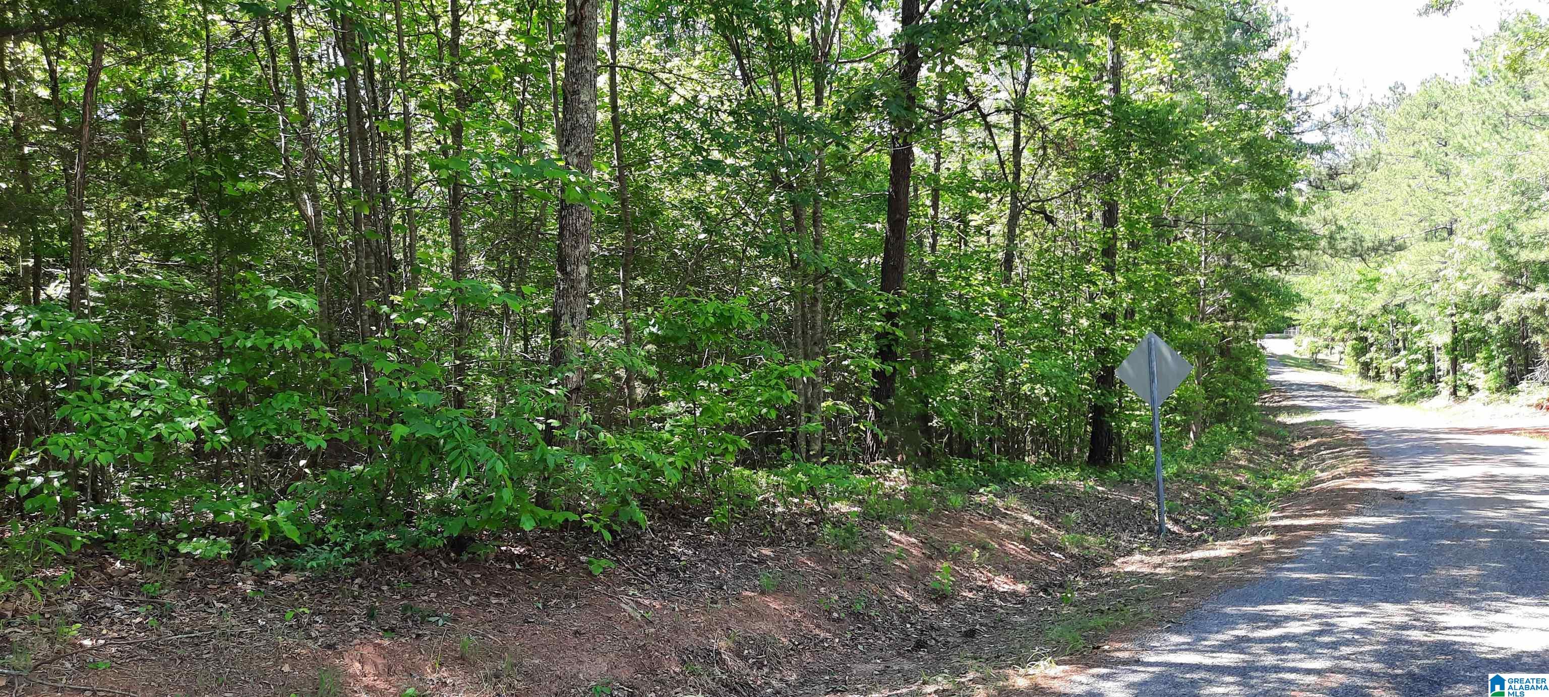 10778 County Road 19 Heflin, AL 36264 - Photo 20 of 41
