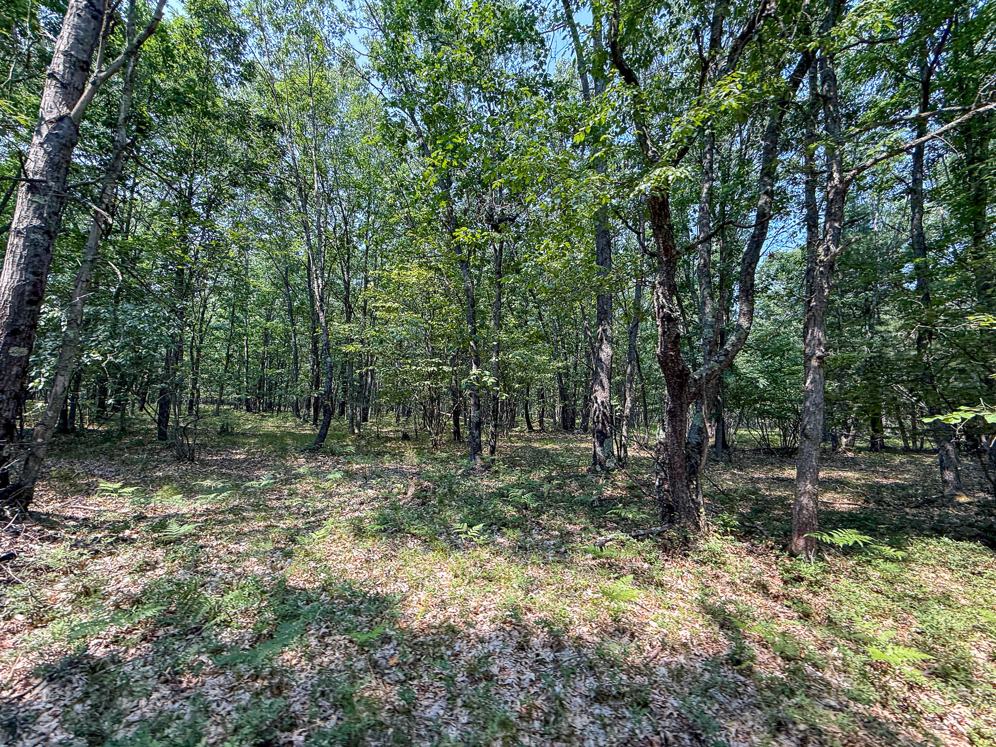 3985 Indian Trail Road Custer, MI 49405 - Photo 77 of 79 IMG_5157-2