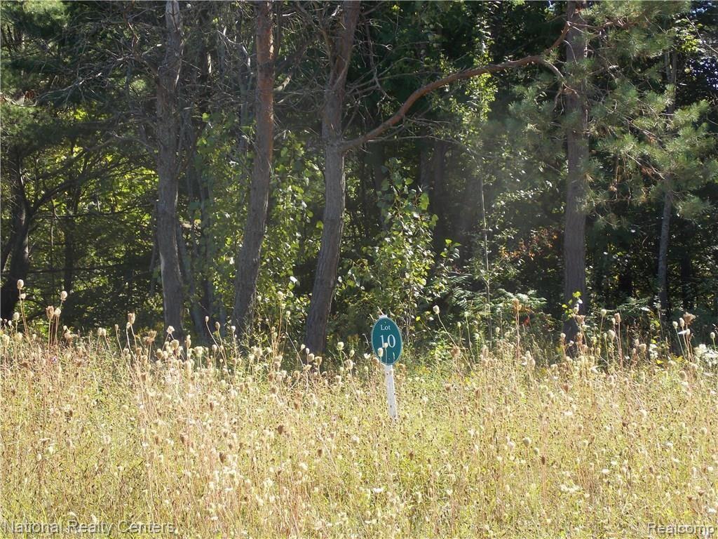 1342 Rivers Ridge Court Cheboygan, MI 49721 - Photo 9 of 20