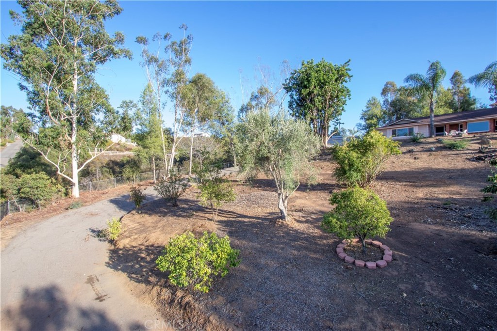 17595 Rancho De La Angel Road Ramona, CA 92065 - Photo 4 of 63 a backyard of a house with a yard and outdoor seating