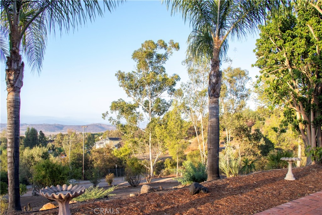 17595 Rancho De La Angel Road Ramona, CA 92065 - Photo 62 of 63 a view of a yard with plants and palm trees