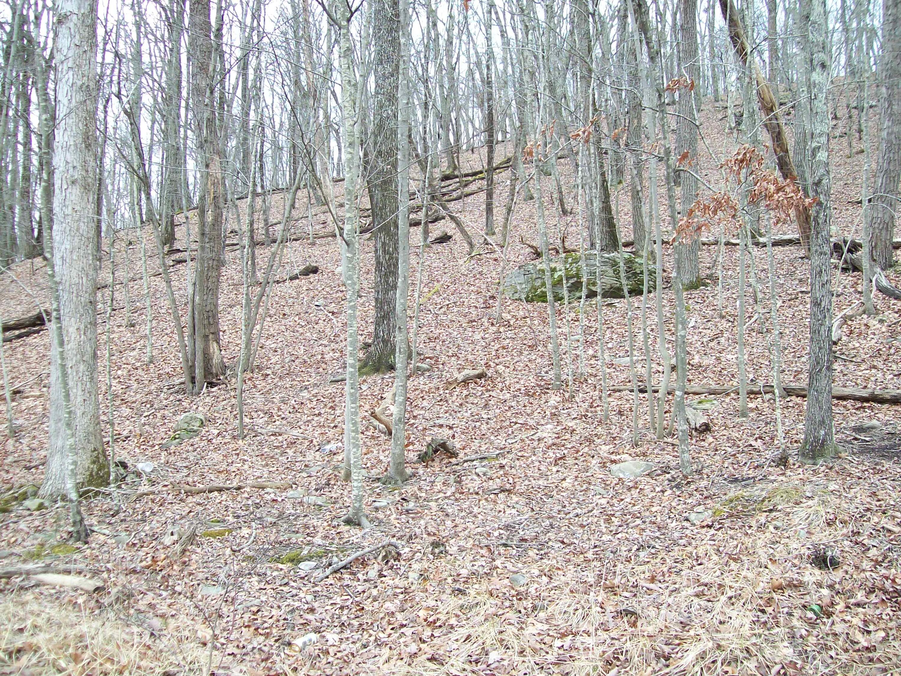 2.65-acres Decker Road Bushkill, PA 18324 - Photo 1 of 2