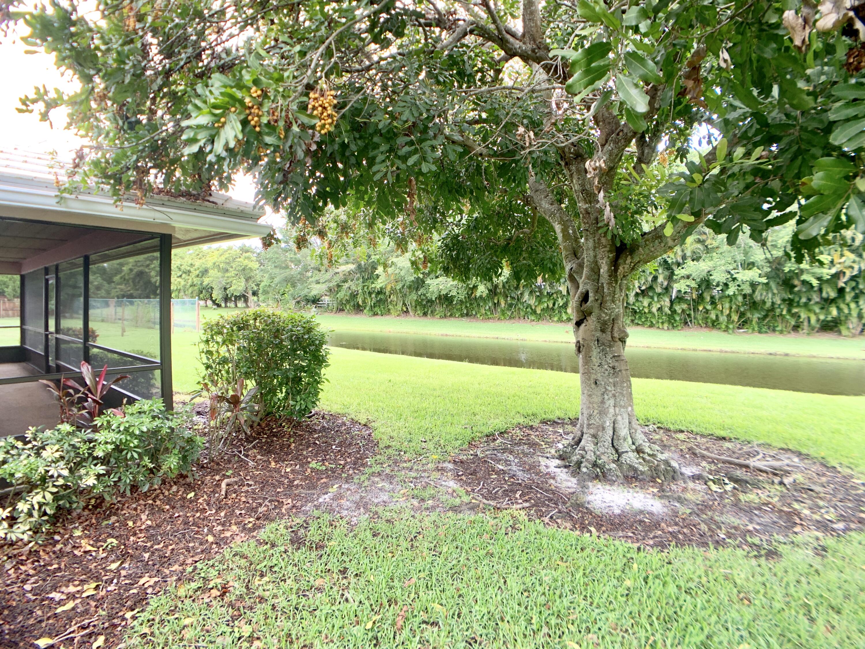 1242 Raintree Lane Wellington, FL 33414 - Photo 27 of 36 Exterior Back