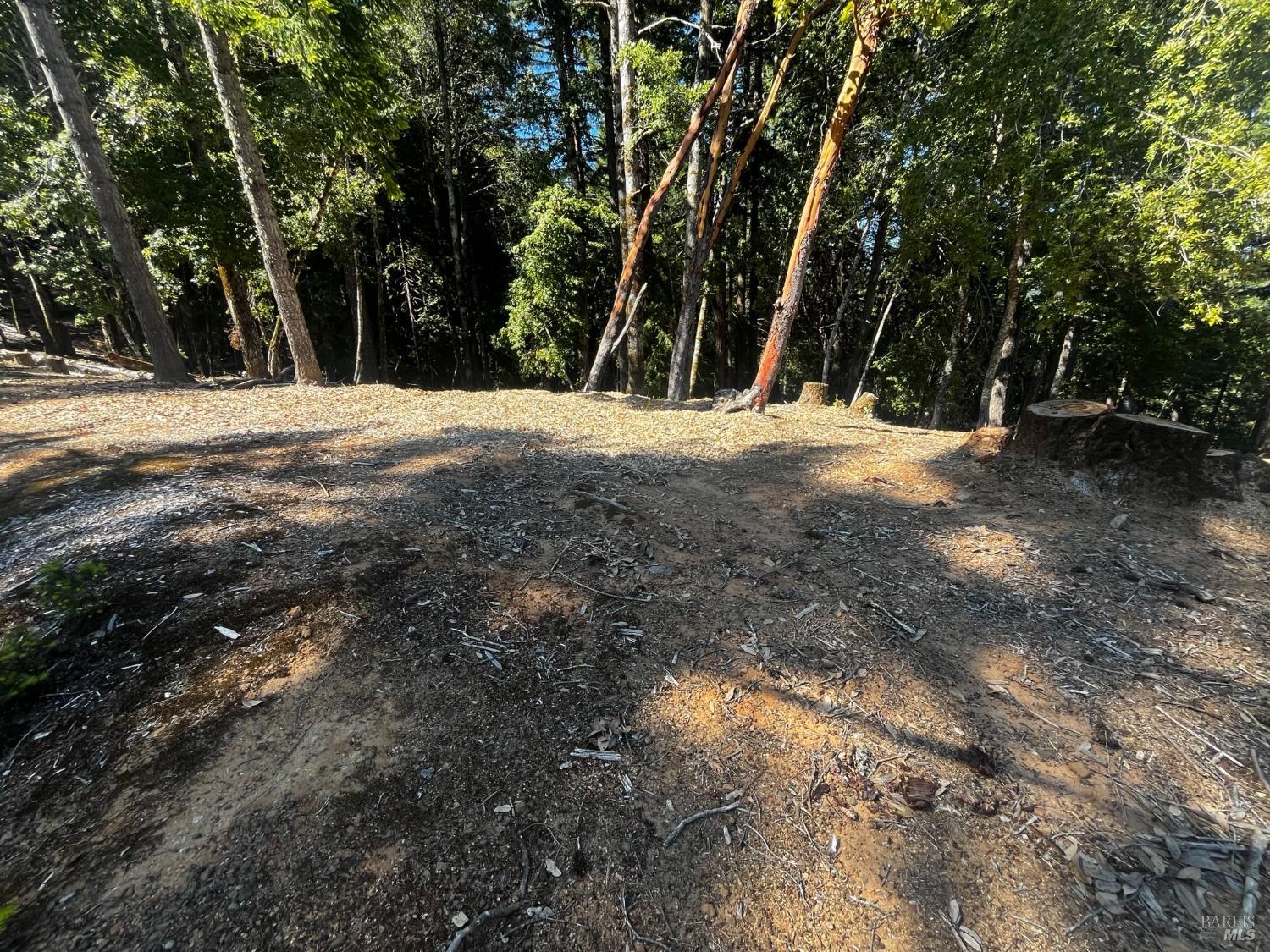 2374 Goose Road Willits, CA 95490 - Photo 3 of 6