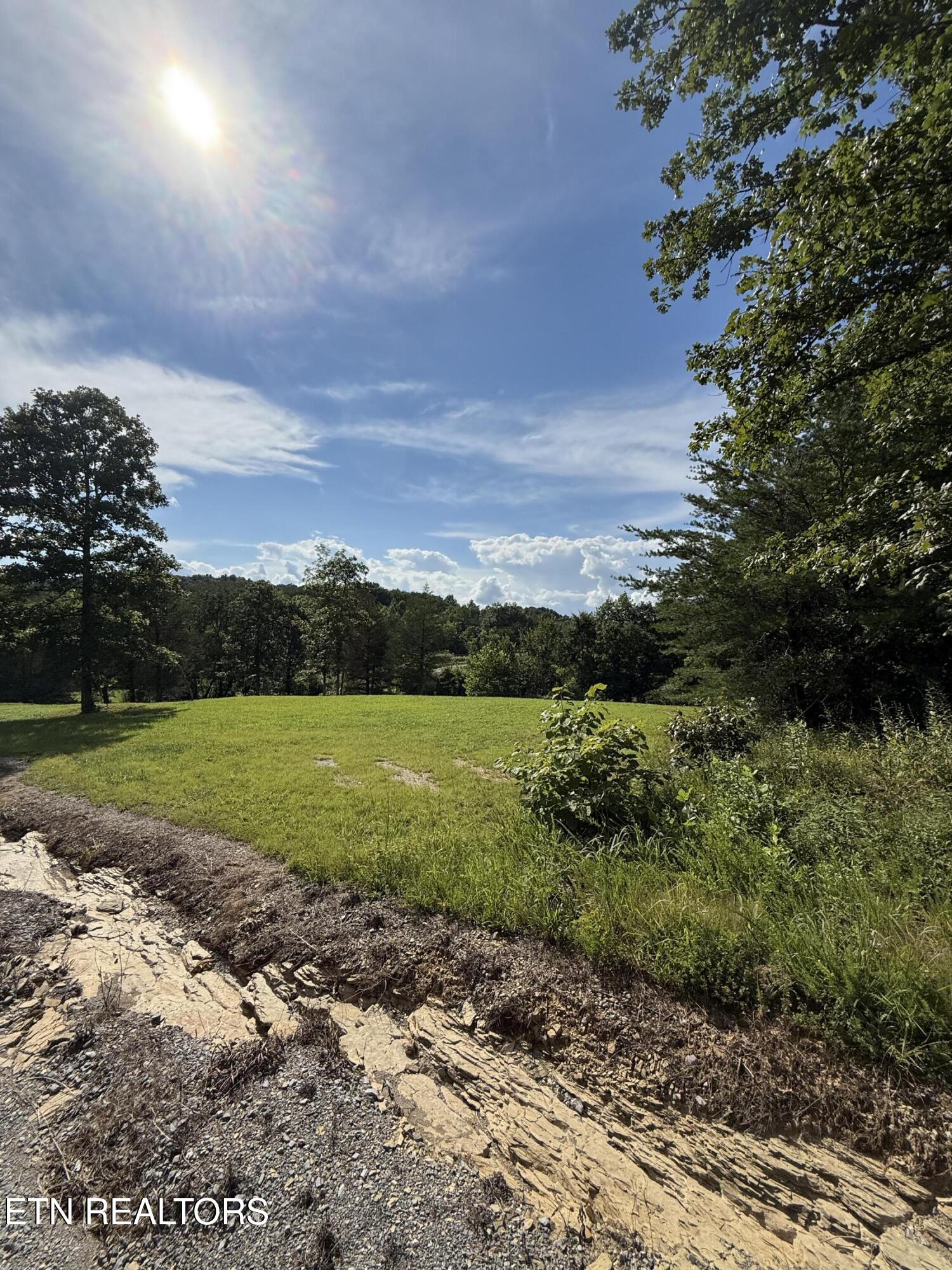 129 Stone Ridge Road Tellico Plains, TN 37385 - Photo 27 of 33 IMG_2836