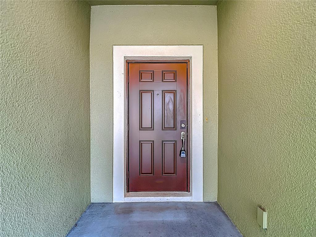 20451 Berrywood Lane Tampa, FL 33647 - Photo 3 of 57 a view of front door