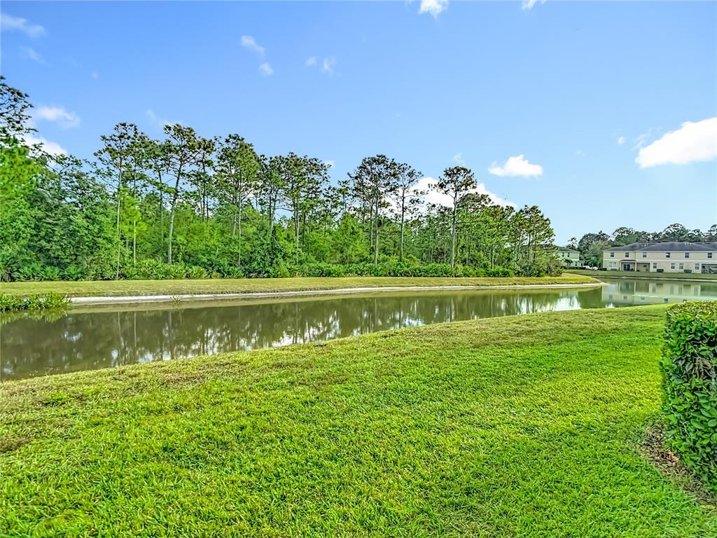 20451 Berrywood Lane Tampa, FL 33647 - Photo 53 of 57 a view of a lake with a big yard