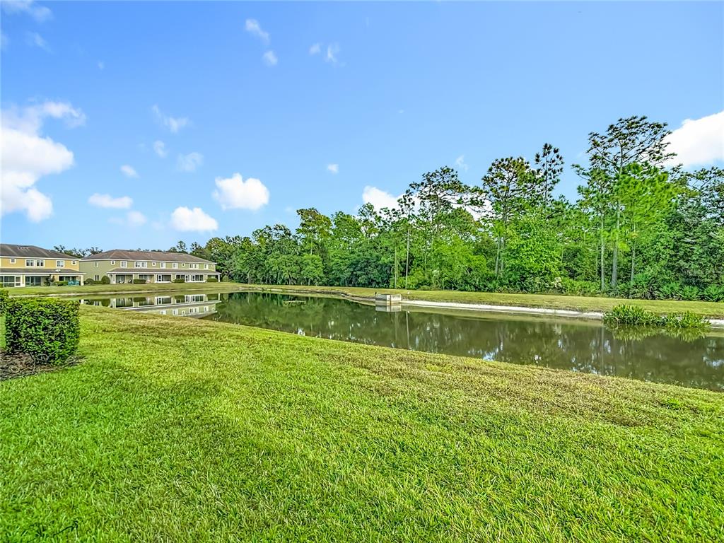 20451 Berrywood Lane Tampa, FL 33647 - Photo 54 of 57