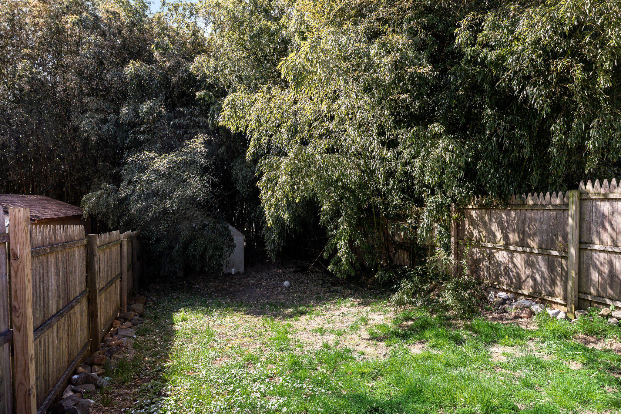 36 Brainerd Street Mount Holly, NJ 08060 - Photo 22 of 28 a view of a yard with large trees