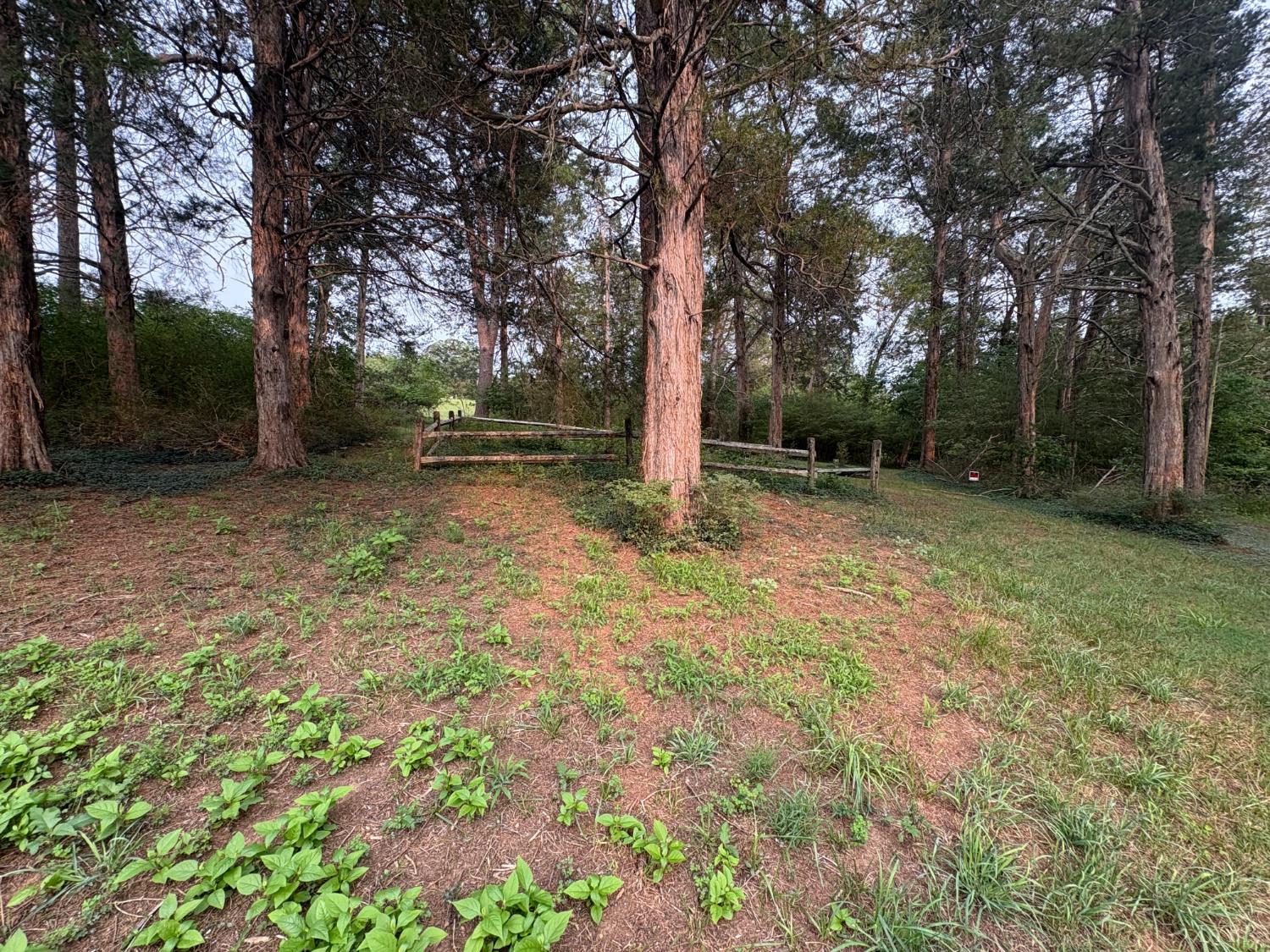 0 Two Two Bid Road Evington, VA 24550 - Photo 14 of 28