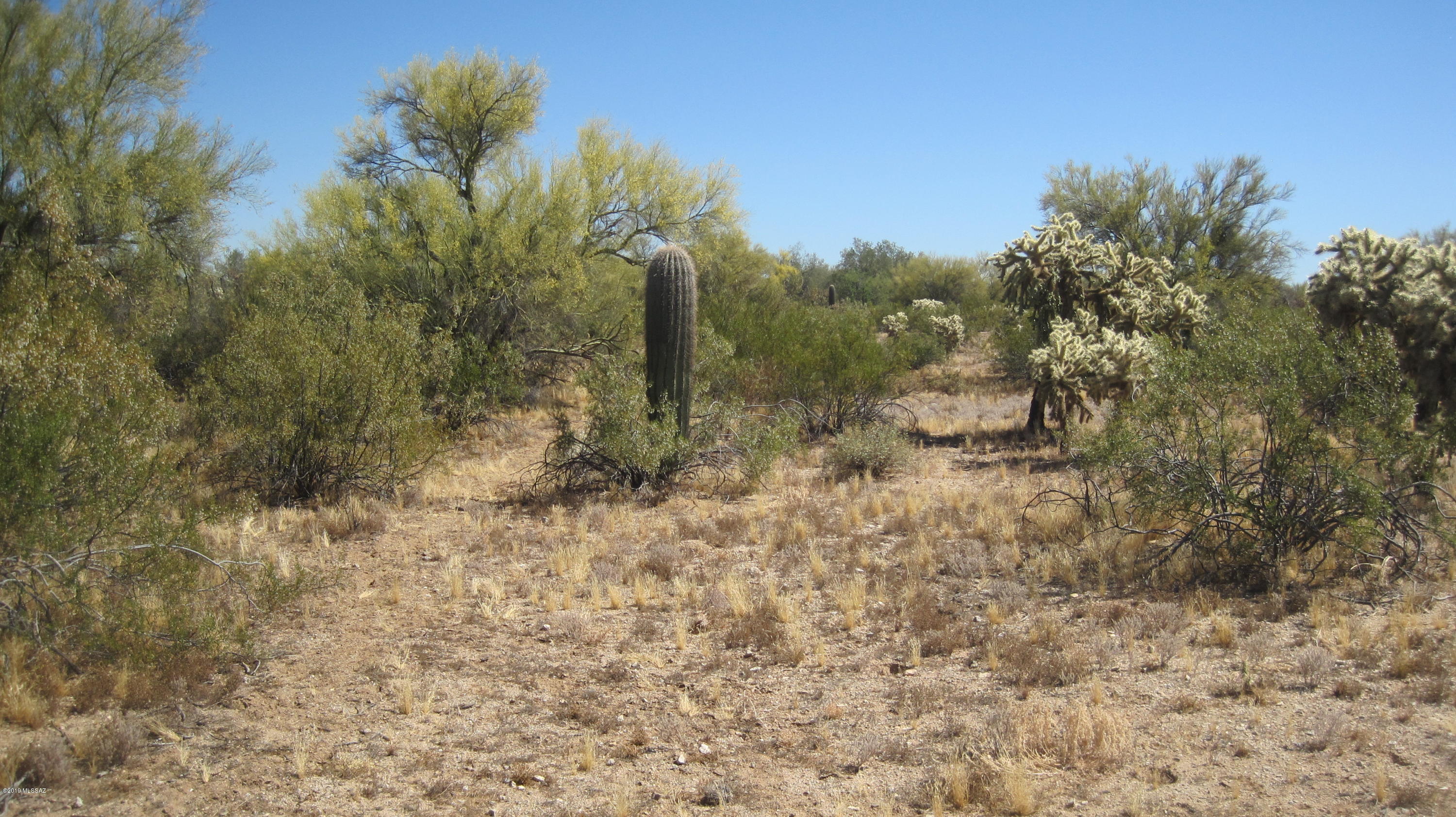 Oo South Cattle Tank Road, Unit 7 5 AC Marana, AZ 85658 - Photo 2 of 22