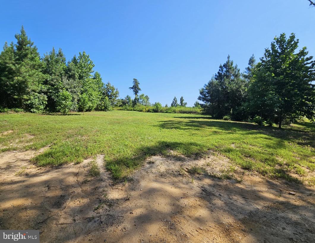 Carpenters Rest Road Caret, VA 22436 - Photo 1 of 8 Gallery Image 1
