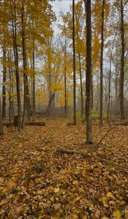 $65,000 | 653 Vl Creek, Mattawan, MI 49071