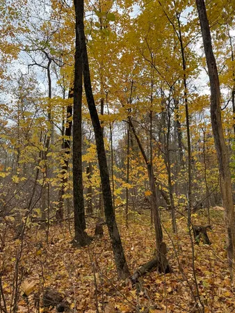 $65,000 | 653 Vl Creek, Mattawan, MI 49071