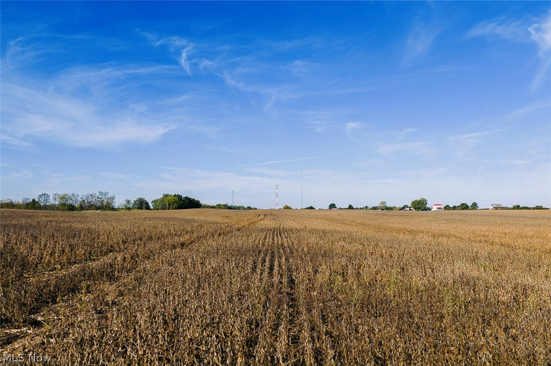 15 Glecoe Road Southwest Carrollton, OH 44615 - Photo 18 of 50 View of nature featuring rural landscape and rows of crops