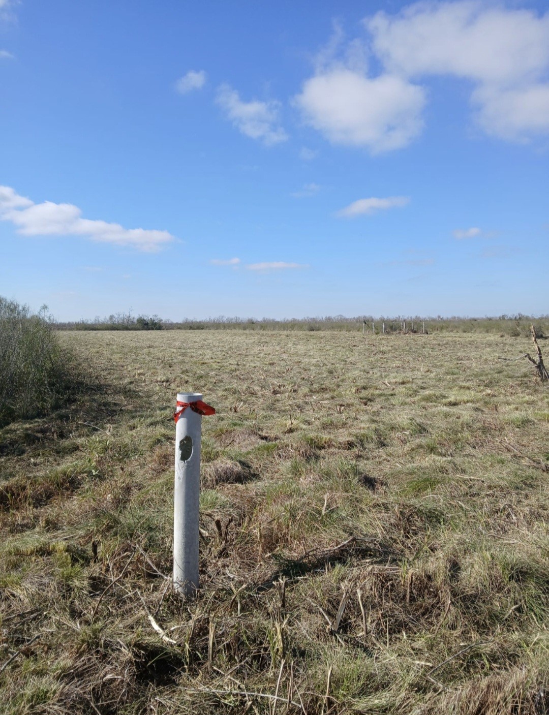 807 County Road 807 Angleton, TX 77515 - Photo 2 of 7