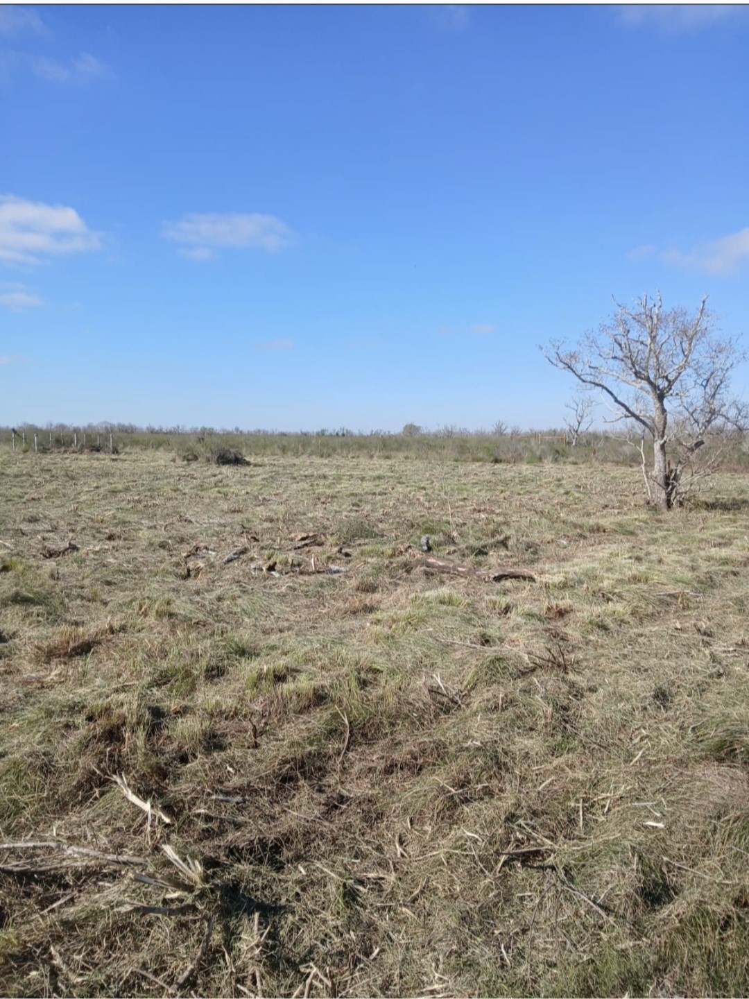 807 County Road 807 Angleton, TX 77515 - Photo 5 of 7 a view of an ocean beach