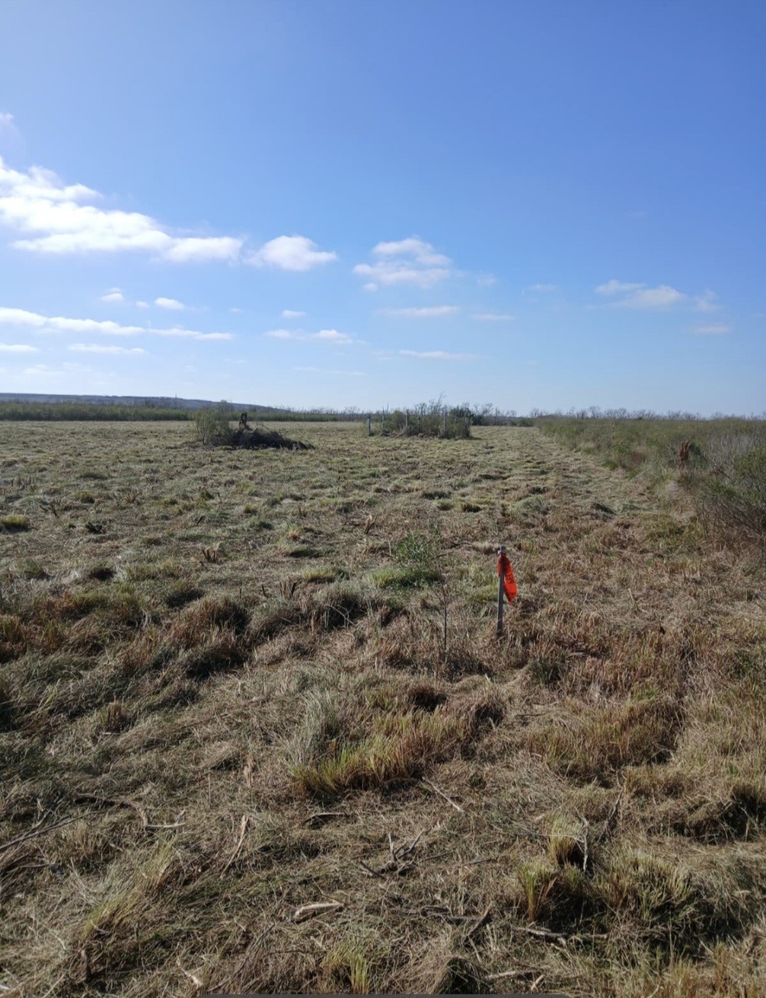 807 County Road 807 Angleton, TX 77515 - Photo 6 of 7 a view of lake and mountain