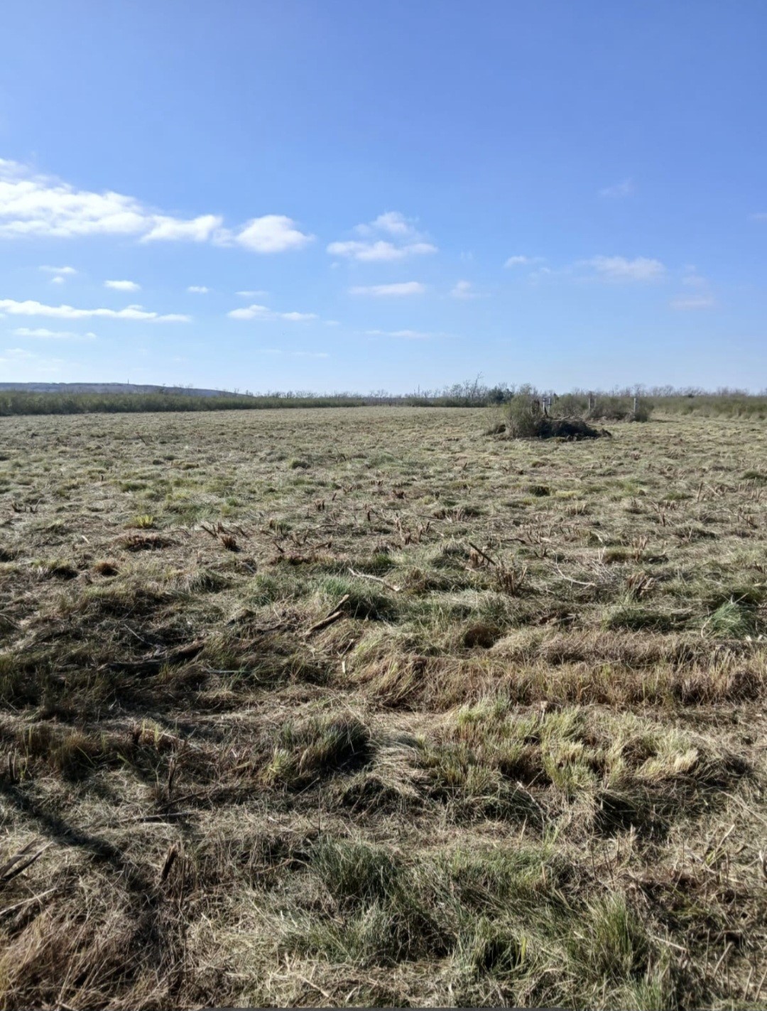 807 County Road 807 Angleton, TX 77515 - Photo 7 of 7 a view of city and ocean
