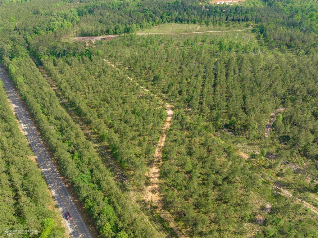 14340 Highway 157 Benton, LA 71006 - Photo 3 of 5 a view of a field with a tree