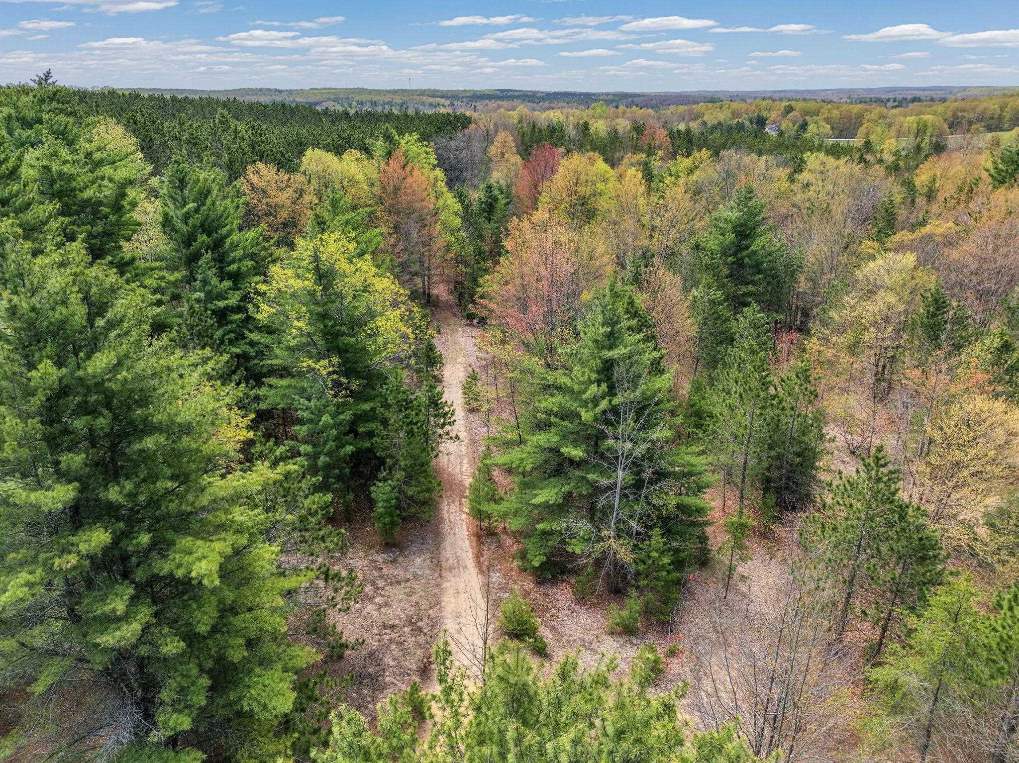 22386 16 Mile Road Leroy, MI 49655 - Photo 42 of 63