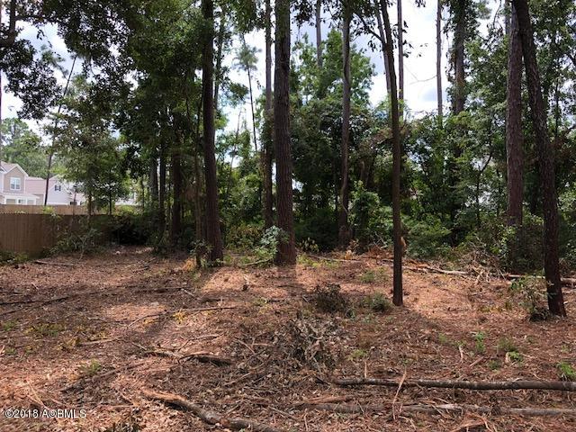 Tbd Wallace Road Beaufort, SC 29907 - Photo 3 of 5 Wallace Rd 2