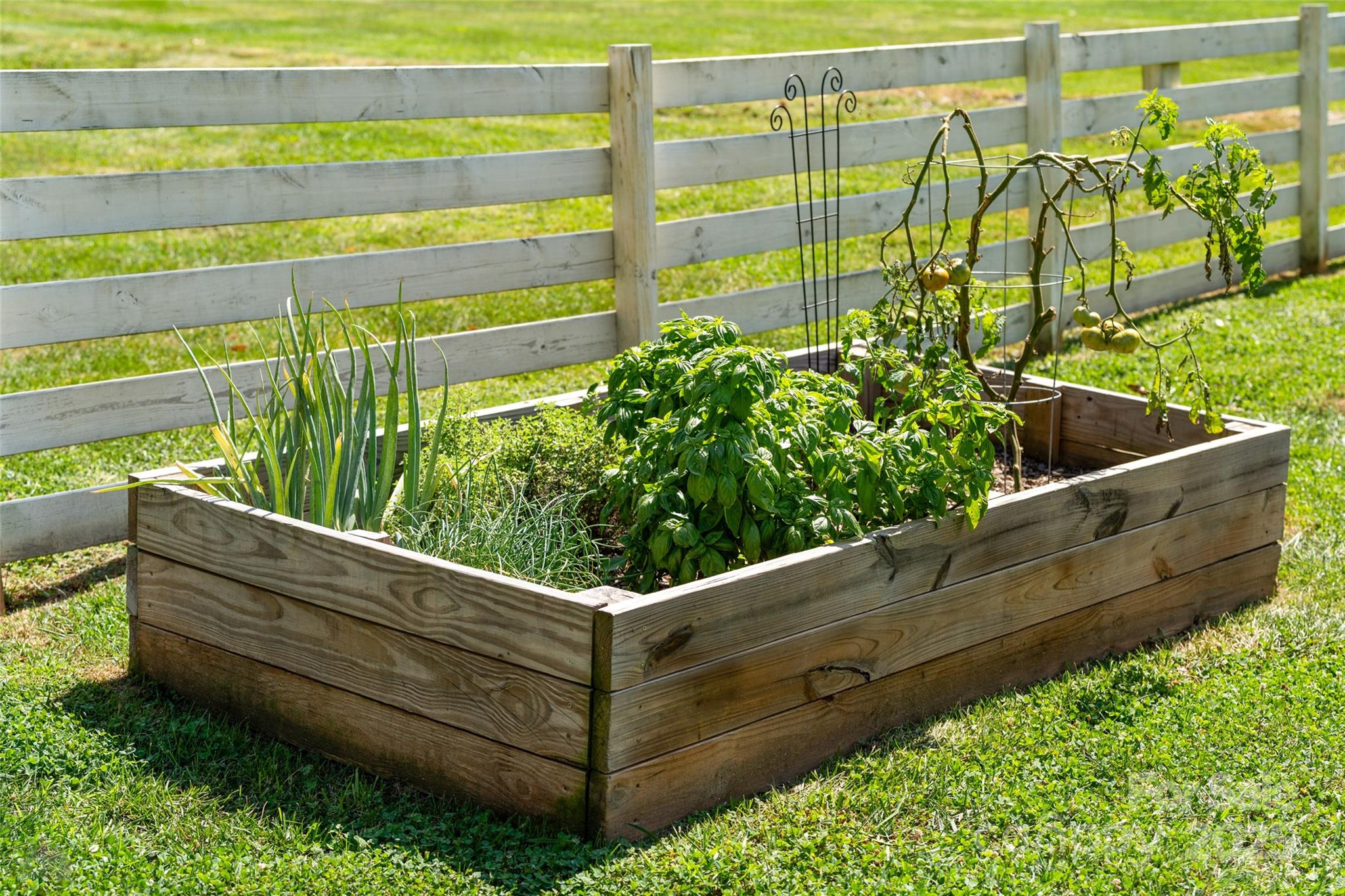 119 Dapple Road Candler, NC 28715 - Photo 31 of 36