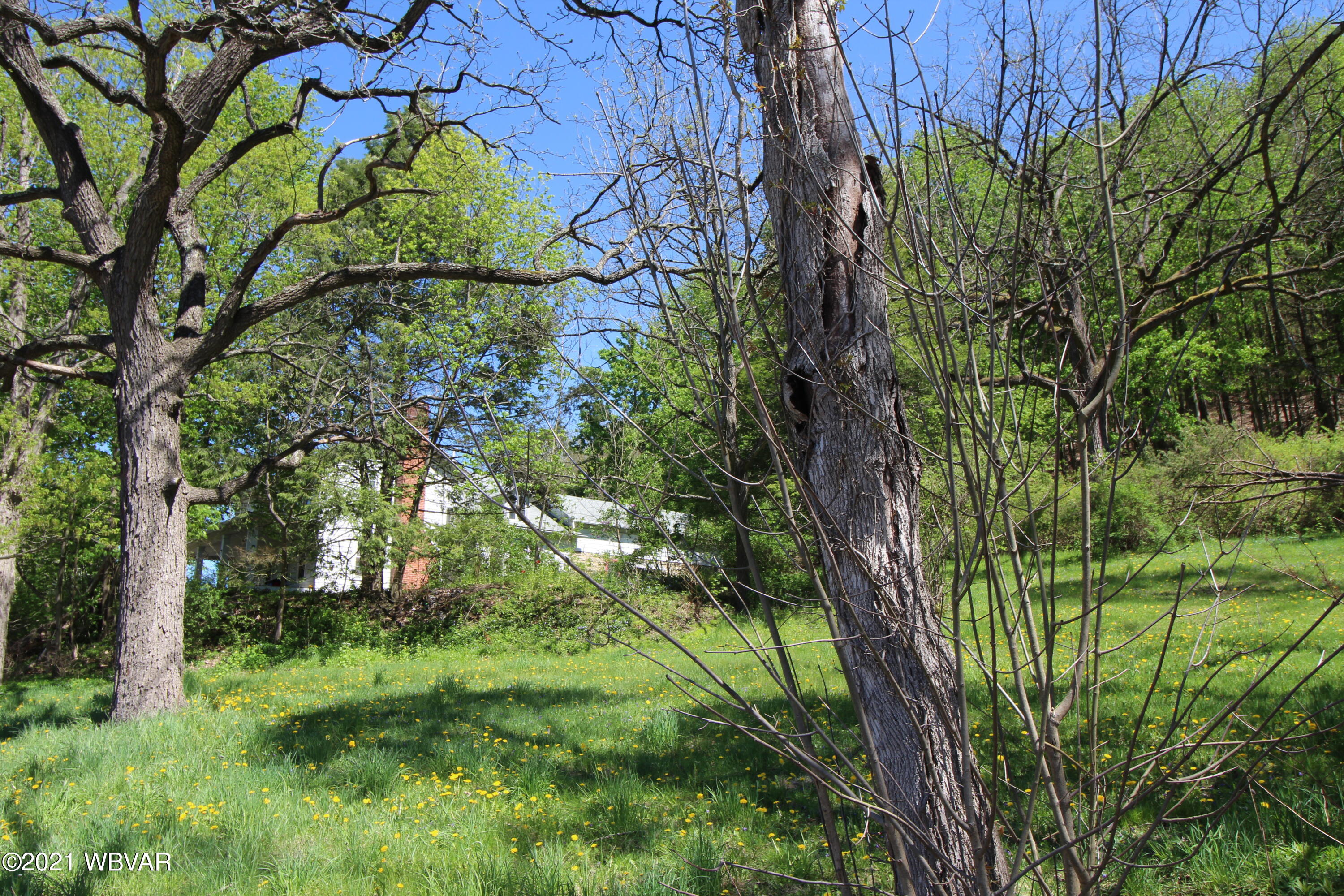 990 Lusk Run Road Mill Hall, PA 17751 - Photo 9 of 33 Gallery Image 9
