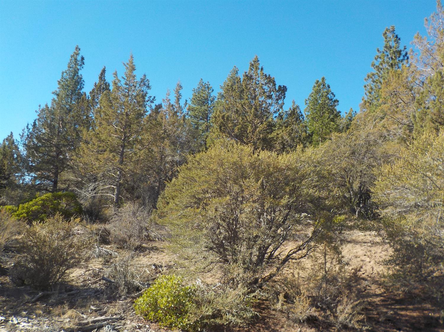 113 Oregon Pines Road Chiloquin, OR 97624 - Photo 1 of 2 Primary Photo